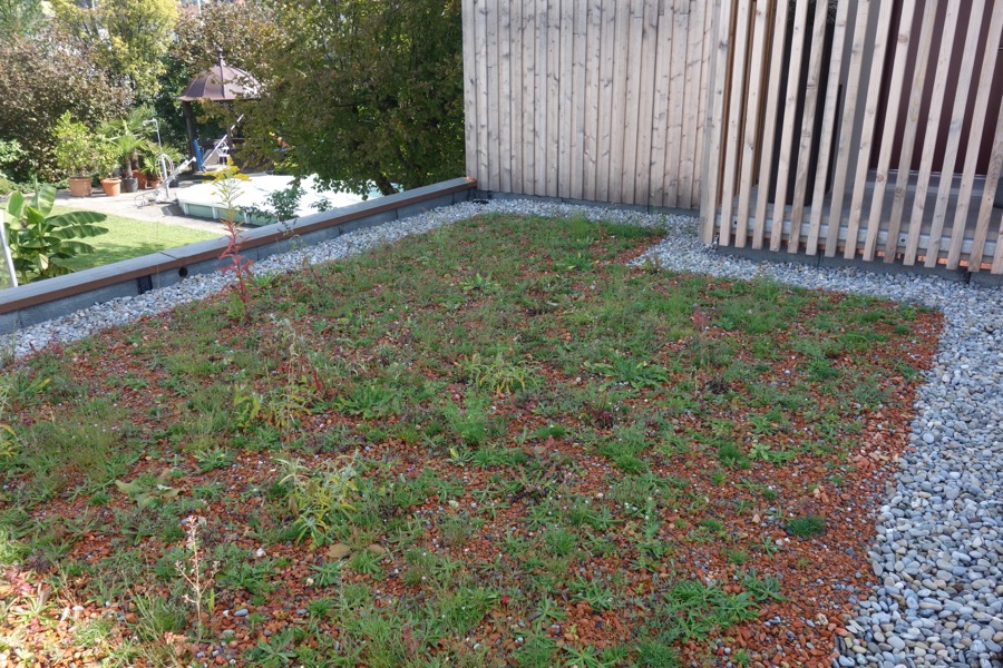 Begrüntes Flachdach mit Kiesstreifen