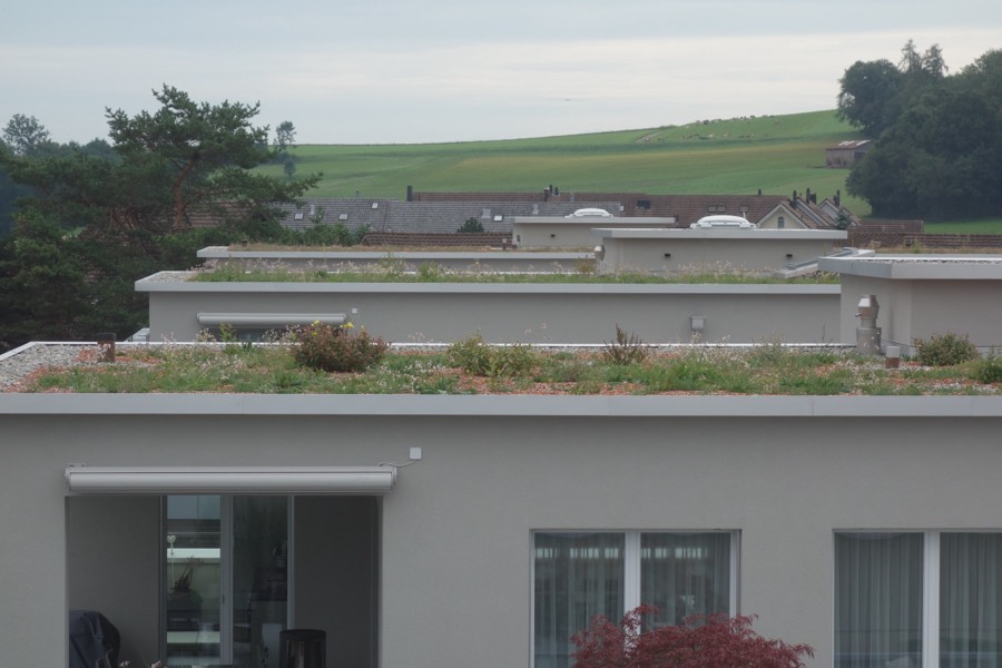 Begrüntes Flachdach mit Blick in die Landschaft