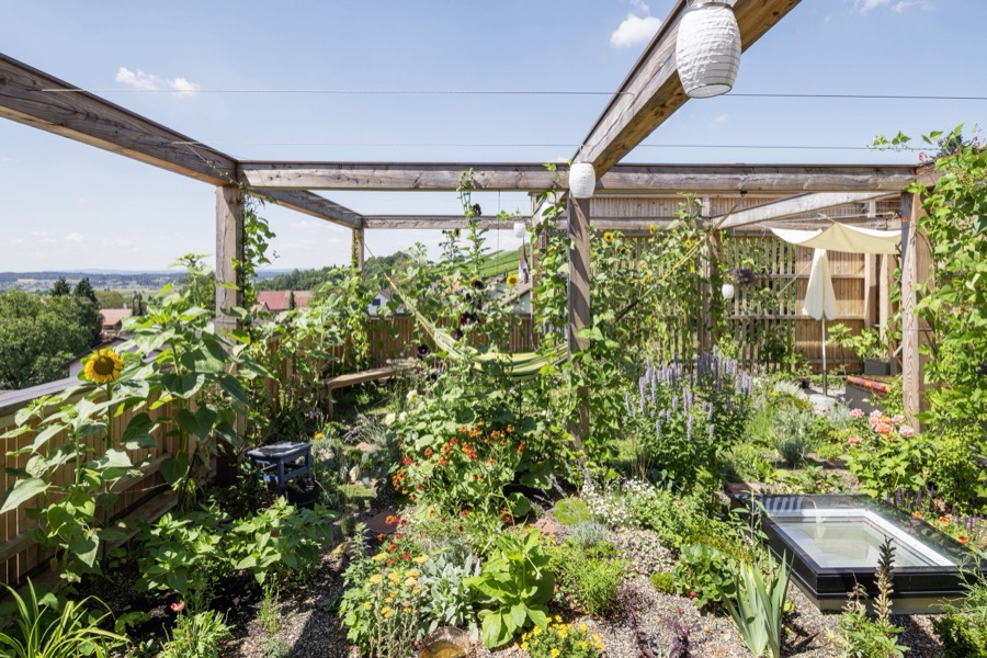 Begrüntes Flachdach mit Pergola